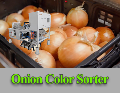 Belt Color Sorter For Cleaning and Selecting Onion, Garlic etc. vegetables Product