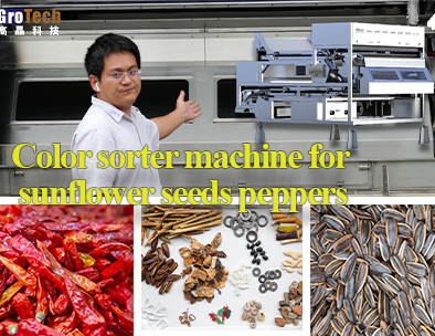 Машина для сортировки цветов семян подсолнечника от Deep Learning, распознавание искусственным интеллектом
        